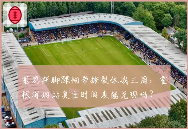 塞恩斯脚踝韧带撕裂休战三周，霍根海姆站复出时间表能兑现吗？